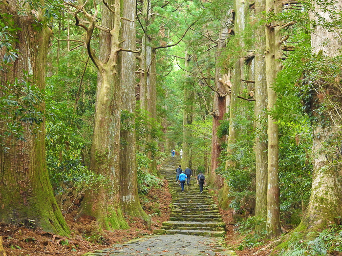 Kumano forest