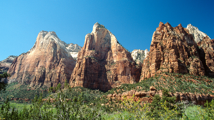 The Zion Patriachs