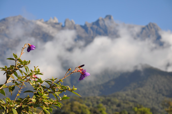 Mt Kinabalu