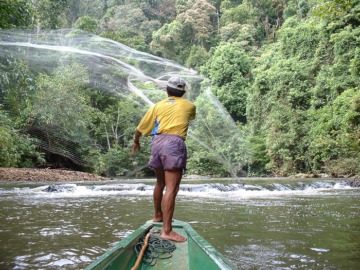 Fishing Up-River