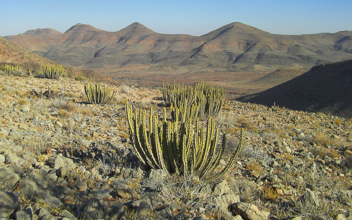 Namib-Naukluft landscape