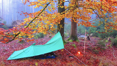 Camping in autumnal woods