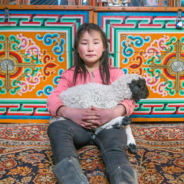 Mongolian girl and sheep