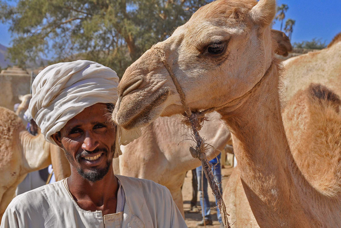 Portrait of Arab man and camel
