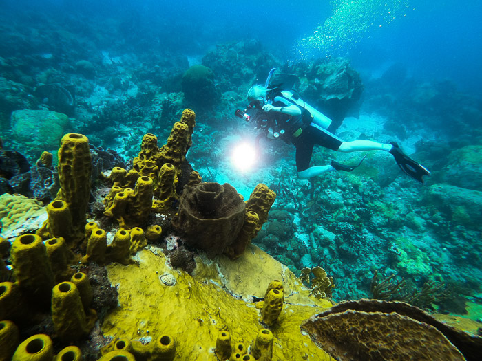 St Lucia diving